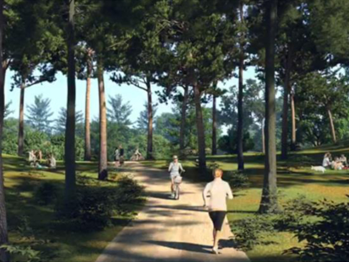 medioambiente-zonasverdes-bosques