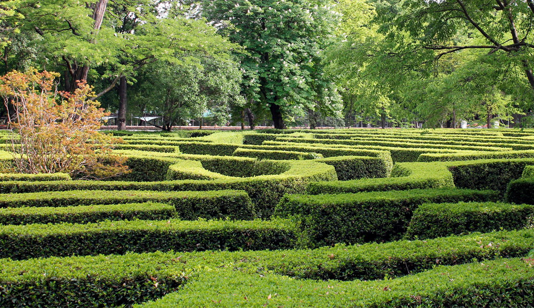 Un nuevo servicio para reforzar y mejorar la conservación de los parques y viveros de Madrid