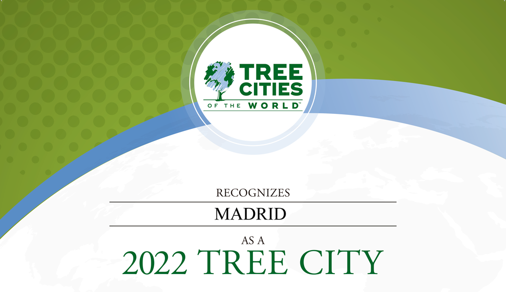 ciudad arborea portada