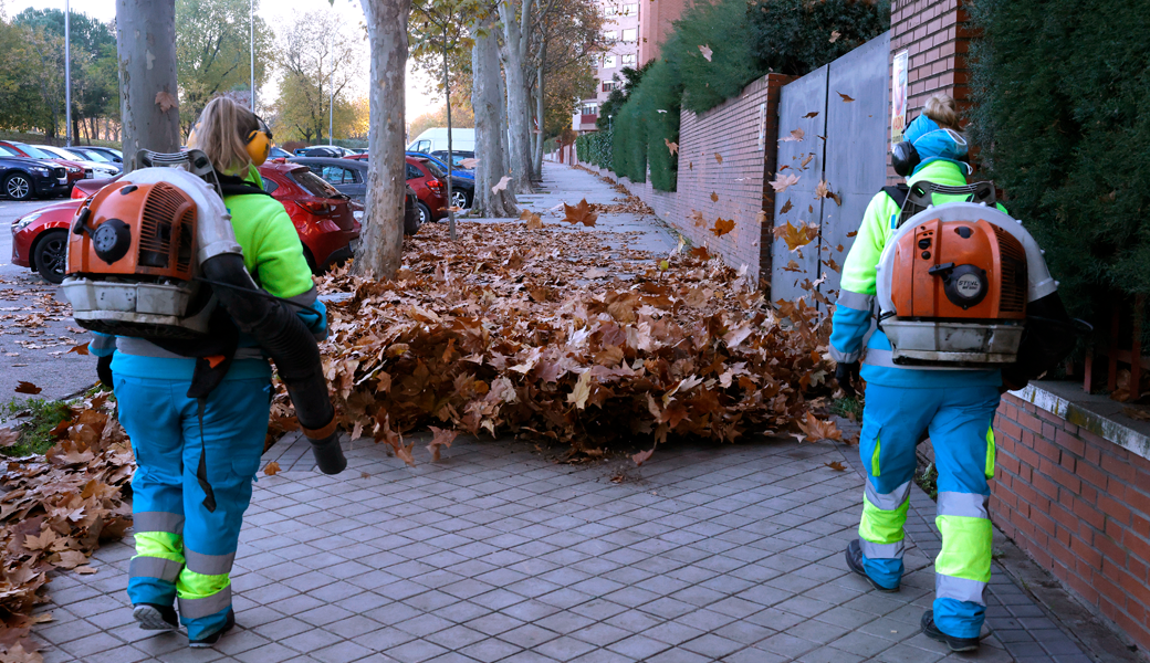 2.265 operarios y 550 equipos mecánicos para la campaña de recogida de la hoja
